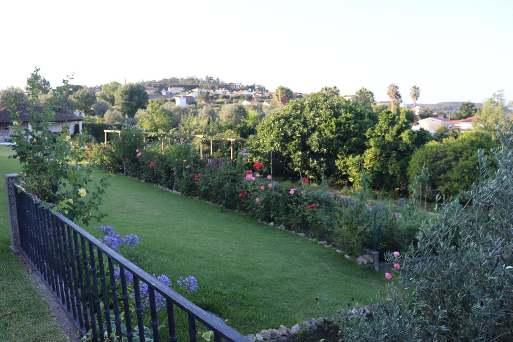Quinta Do Regalo Villa Coimbra Eksteriør billede