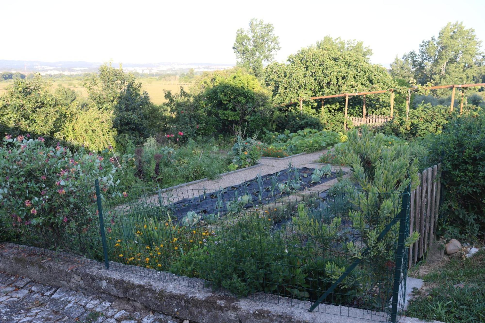 Quinta Do Regalo Villa Coimbra Eksteriør billede